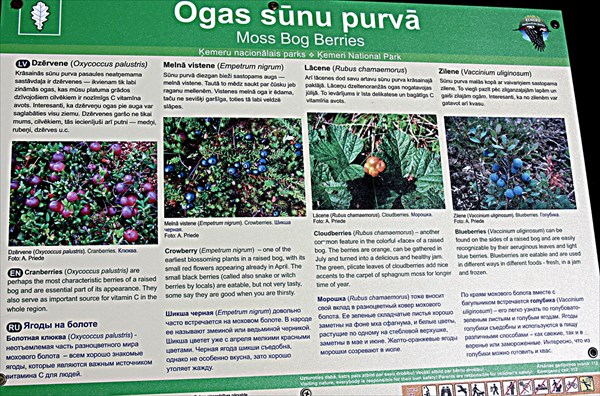 150-Национальныи парк Кемери